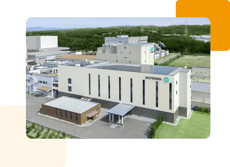 企業情報