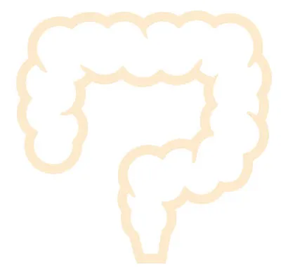 腸活ナビ